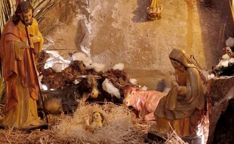 Lee más sobre el artículo Navidad 2025 en Cáritas Laredo